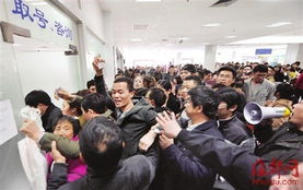 博昌办理各类正规证件证件刻章网上申请：普通人也能搞定的专业指南